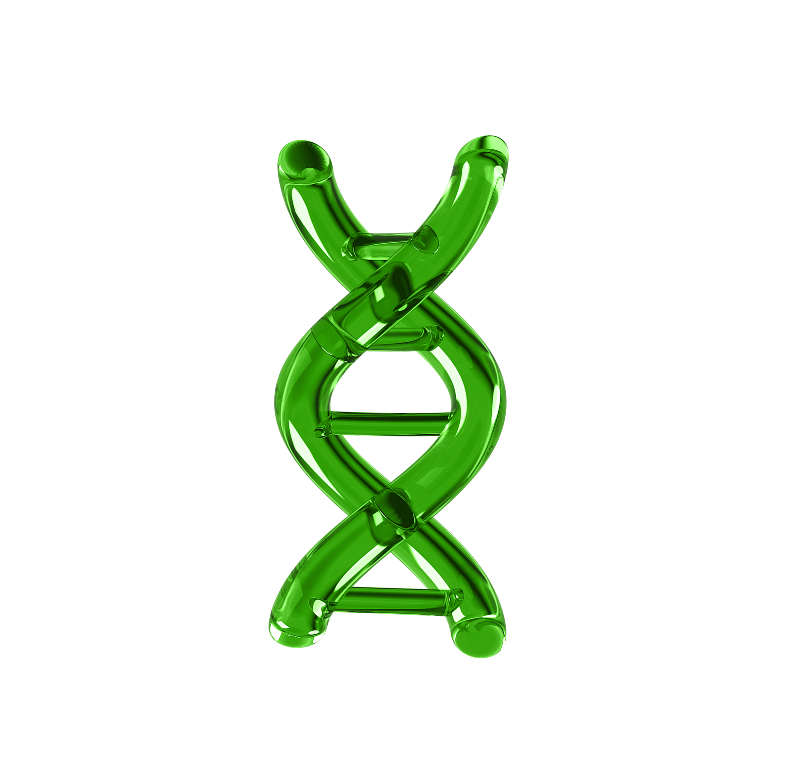 DNA Helix